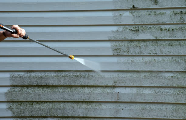 Best Attic Mold Removal  in Desert Hot Springs, CA