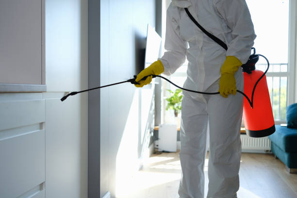 Best Mold Testing  in Desert Hot Springs, CA